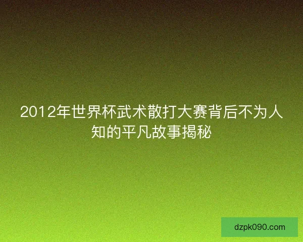 2012年世界杯武术散打大赛背后不为人知的平凡故事揭秘
